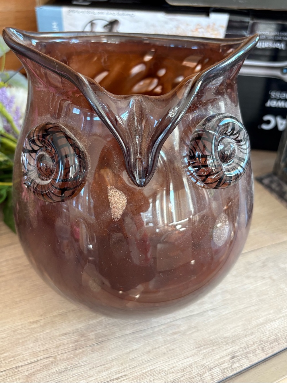 Pier 1 Brown Glass Owl Vase